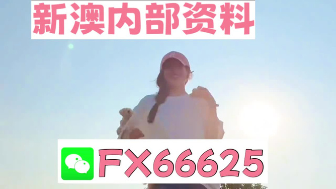 7777788888，管家婆老家的突破与专家解析—谨防华而不实包装的陷阱