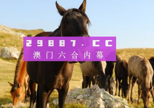 探索未来可能的道路，新澳门精准正最精准龙门客栈旧版与管家婆一肖一码精准资料的启示