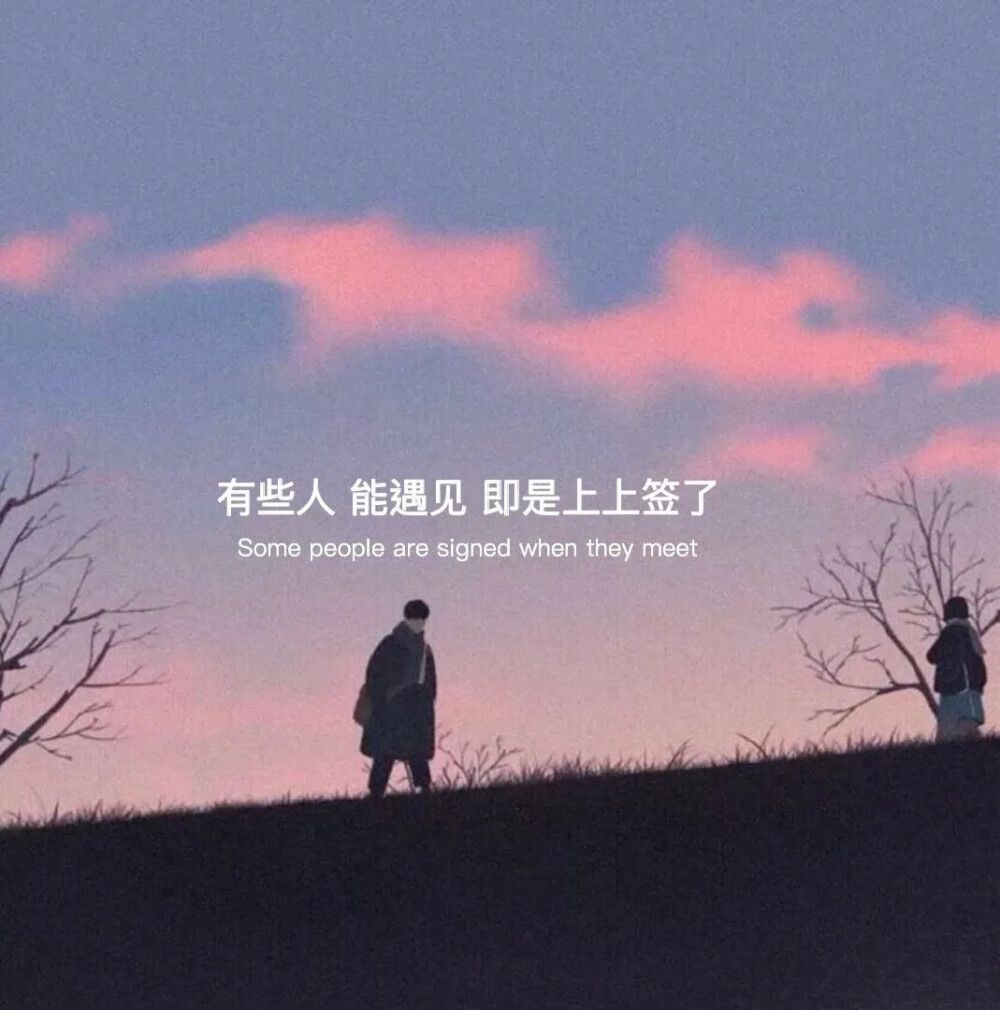 挽回，新澳门四肖八码凤凰网刘伯温与新澳门内部一码精准公开的未来契机