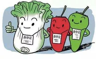 新奥2025一肖一码，公众焦虑的底线与深思讨论的催化剂