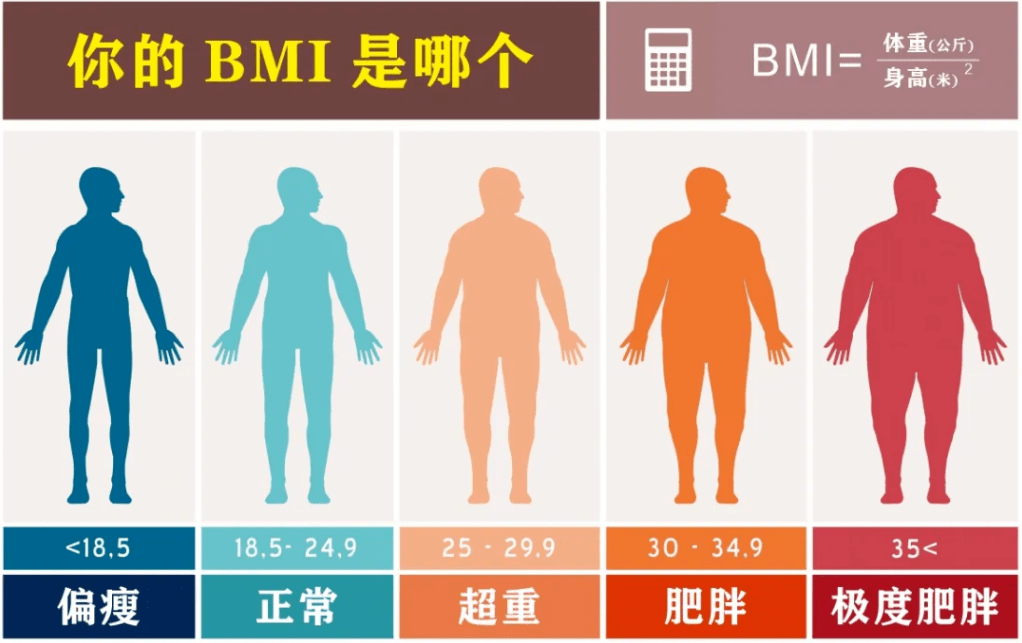 普通与非凡，新奥门精准大全资料—谁才是判断的标准？