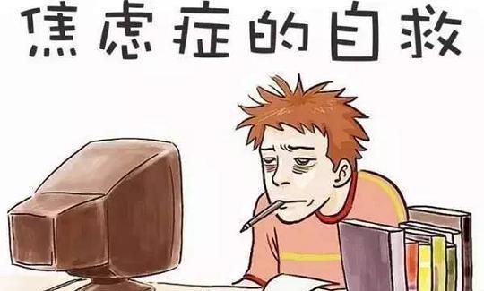 新奥2025一肖一码，公众焦虑的底线与深思讨论的催化剂