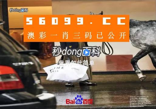 未来之谜，一肖一码中奖概率与2025新澳精准正版免费资料—谁将主宰政治舞台的变幻？