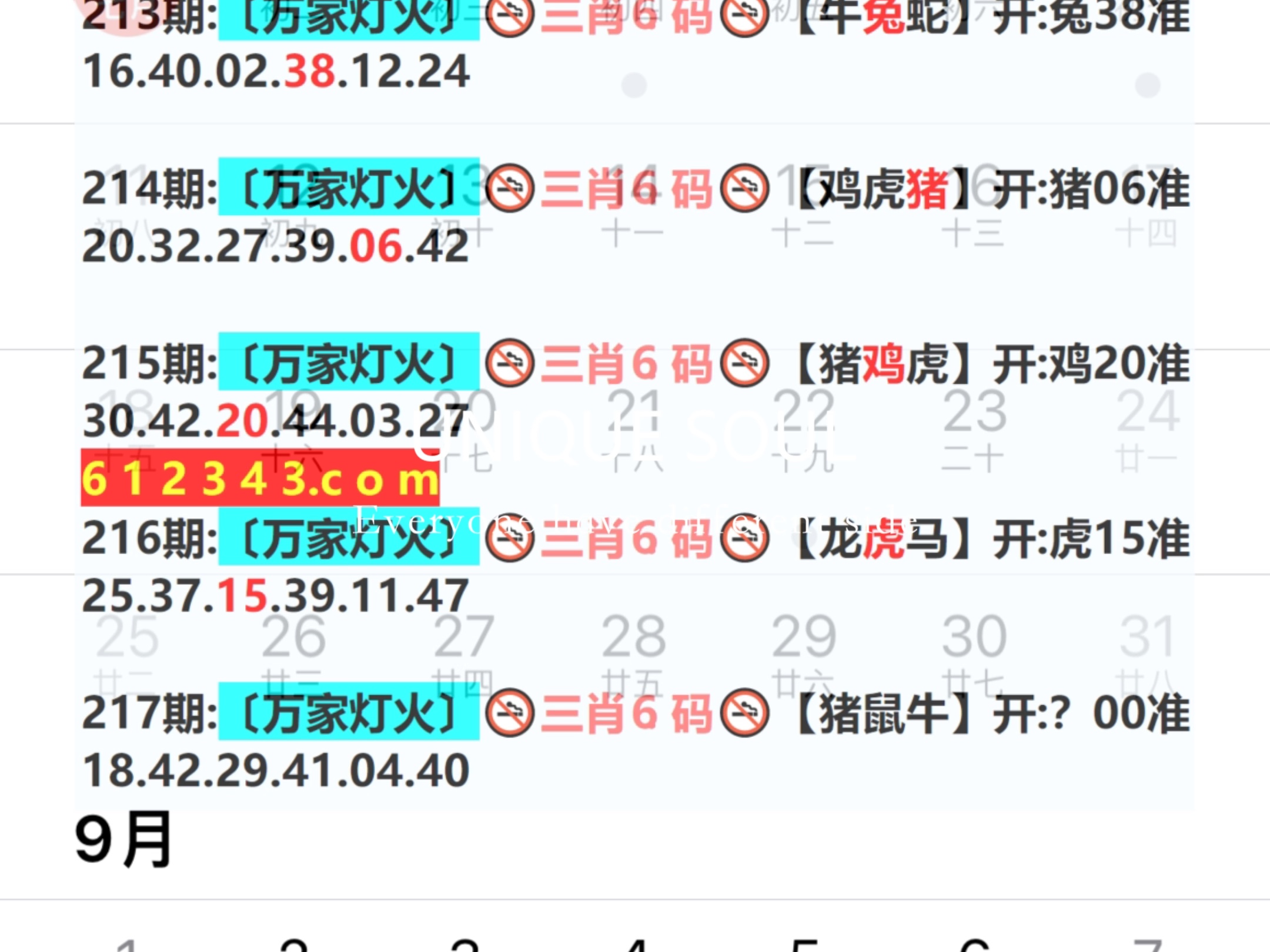 改革，管家婆最准一肖一码与2025年新奥开奖结果—深思与启示
