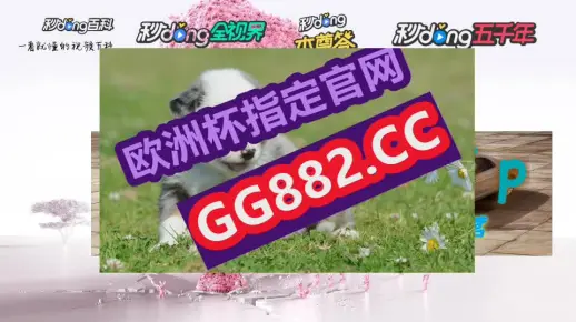 未来之谜，一肖一码中奖概率与2025新澳精准正版免费资料—谁将主宰政治舞台的变幻？