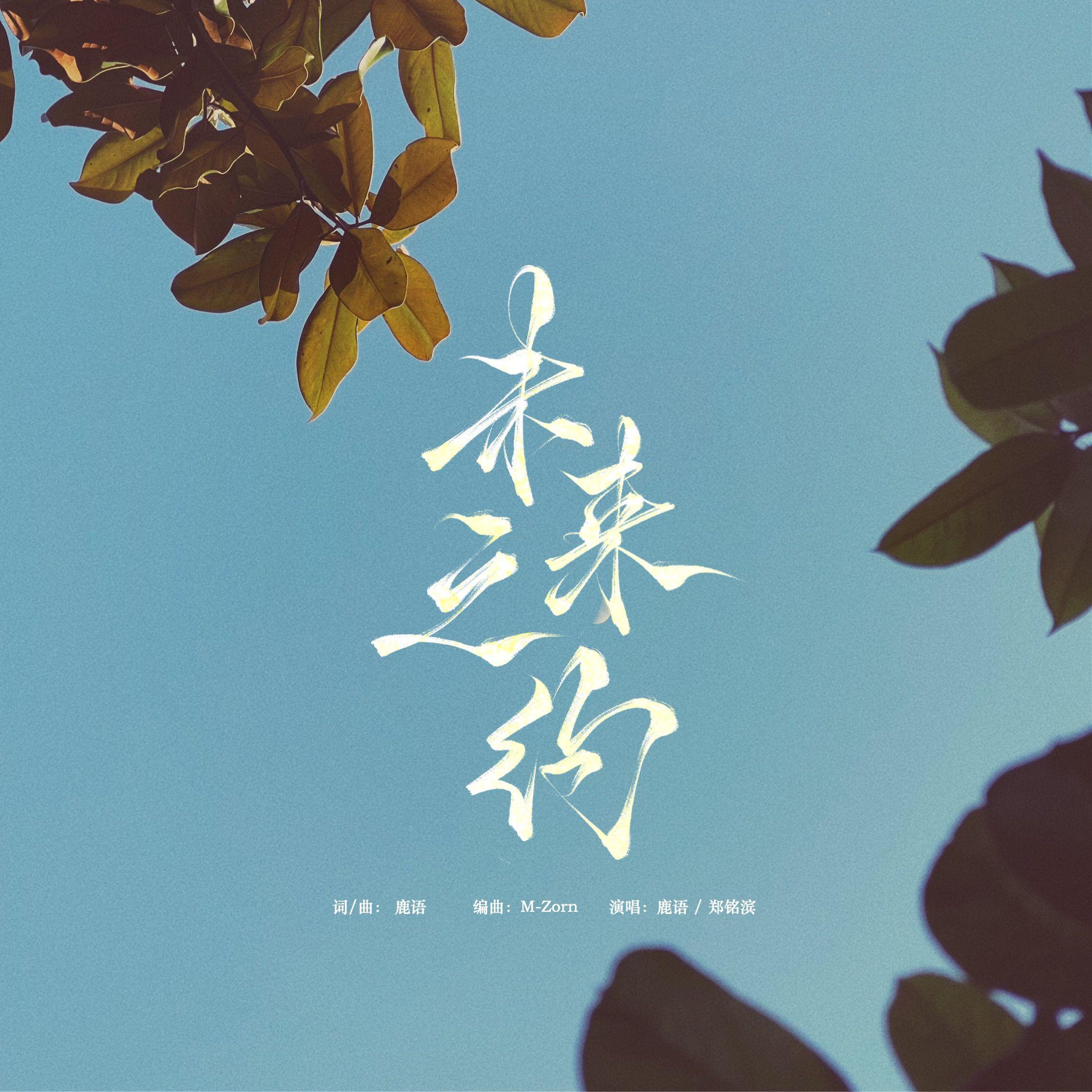 未来之邀，探索黄大仙精准一肖一码com与澳彩大数据分析软件在脉动社会中的角色与价值