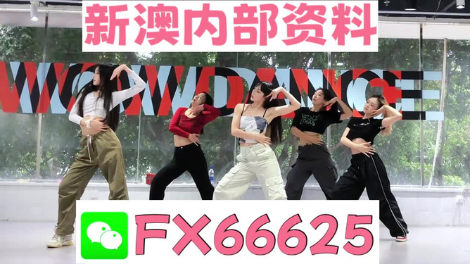 澳门与香港，管家婆三期必开一特或77777888—管家婆四肖四码前沿剖析与专家解析
