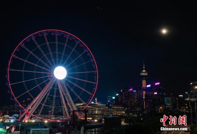 下载香港蓝月亮马会资料大全，未来我们该如何参与？
